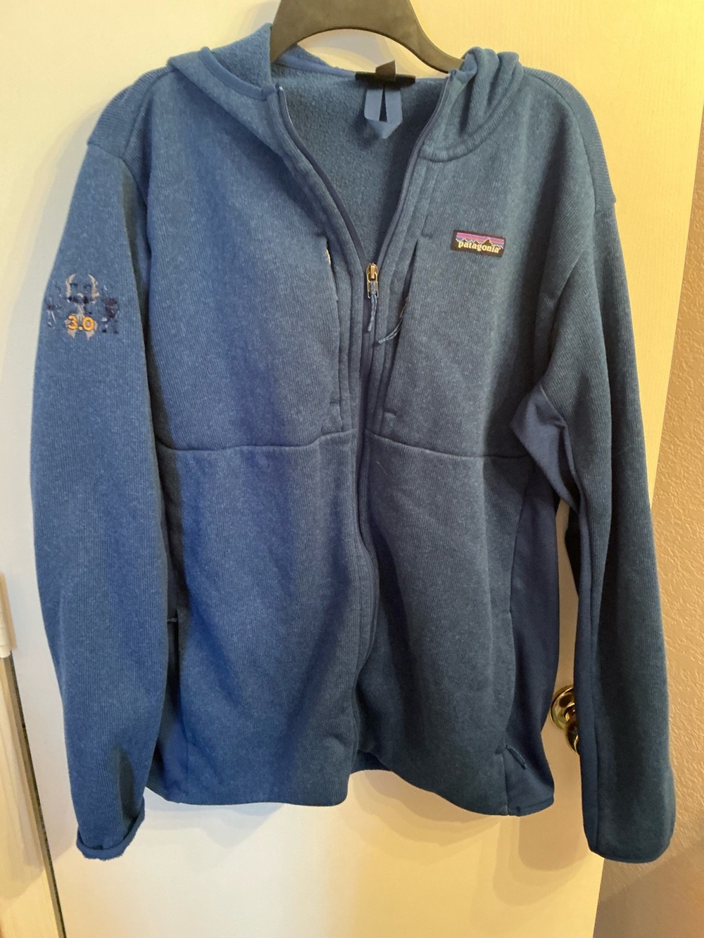 Patagonia Navy Blue Fleece Hoodie with Multicolor Logo